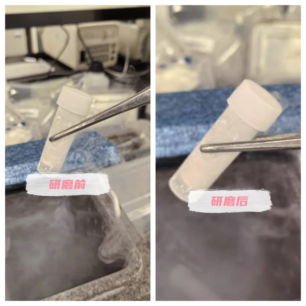 ❗️内脏研磨实验记录_2_科研小净_来自小红书网页版.jpg
