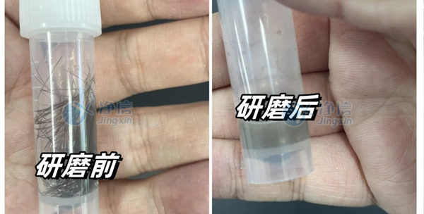 毛发研磨前后效果图2.jpg