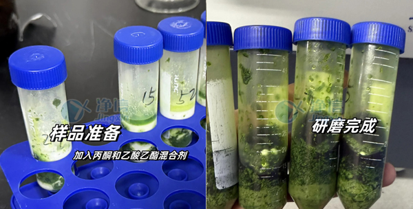 农产品 实验案例底图.jpg