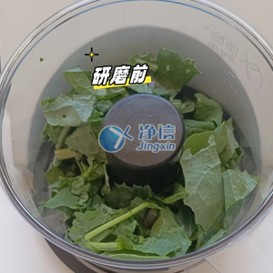 刀式研磨仪高效研磨新鲜油菜叶实验全指南
