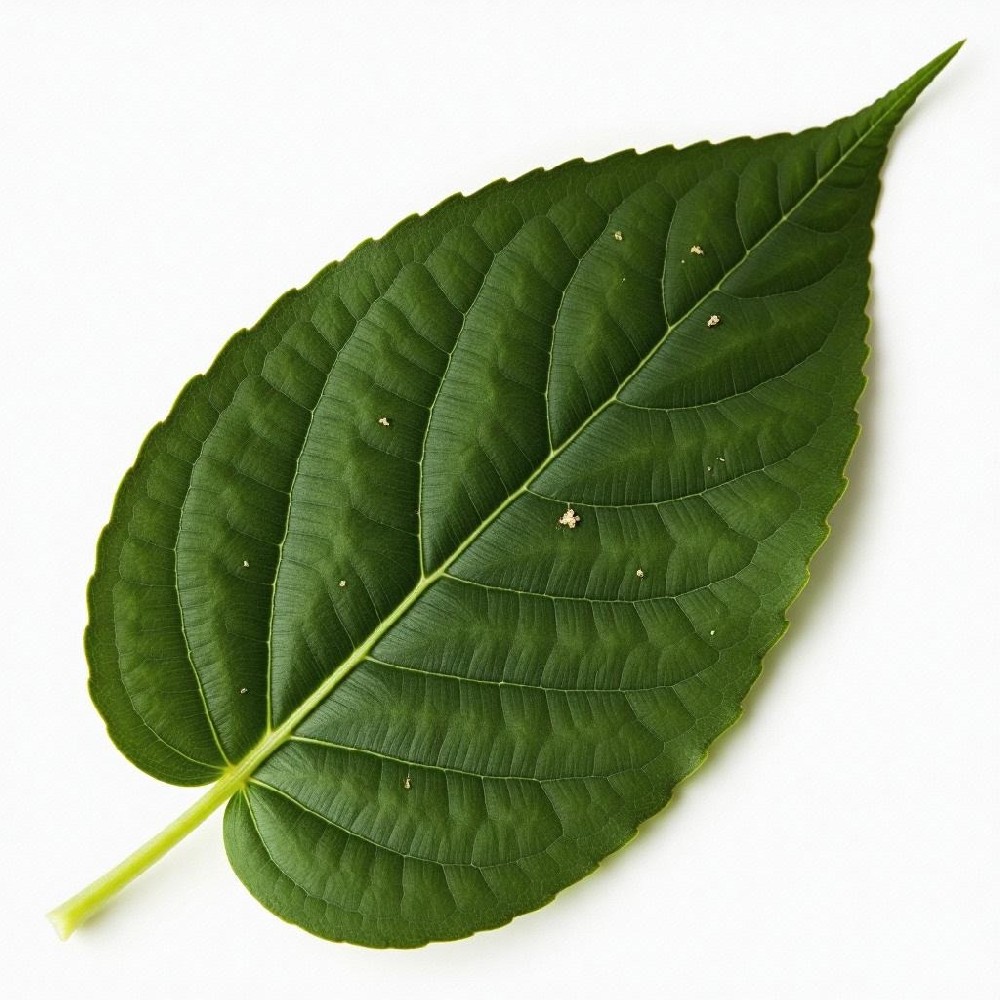 2fd1bbc2ef33b3215276252aeabf9d7e~tplv-be4g95zd3a-image (1).jpeg