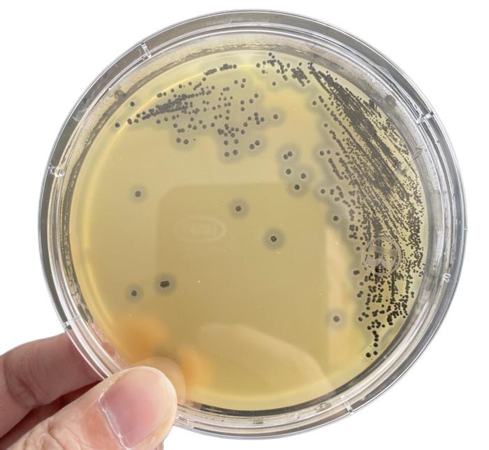 63c8d0adcb3d860cf2ccc71848d1bed8~tplv-be4g95zd3a-image (1).jpeg