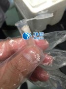 净信多样品组织研磨仪研磨破碎眼结膜实验方法介绍