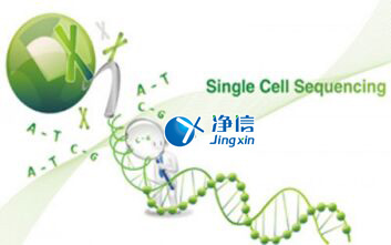 中国人自己的单细胞测序仪来了！