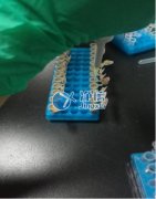 JXFSTPRP-CL冷冻研磨机研磨细菌