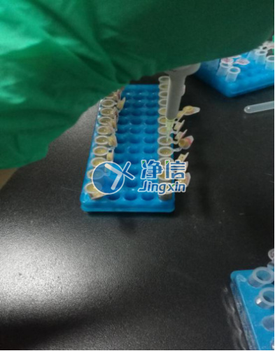 JXFSTPRP-CL冷冻研磨机研磨细菌—上海净信