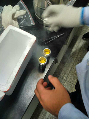 使用多样品组织研磨仪在浙江工业大学进行处理化工PE材料实验=1
