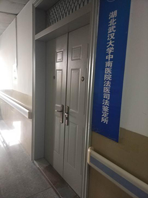 多样品组织研磨仪参与武汉大学中南医院法医司法鉴定所